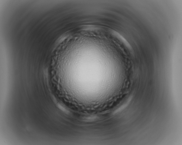 X0000113541425200910021340