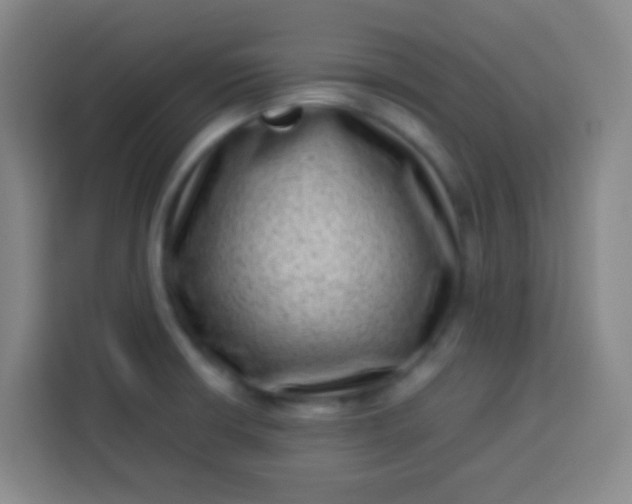 X0000113541426200910021340