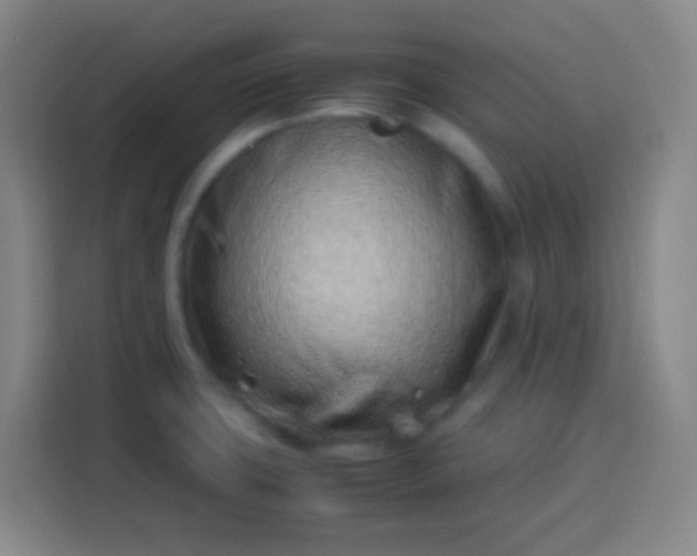 X0000113541427200910021340