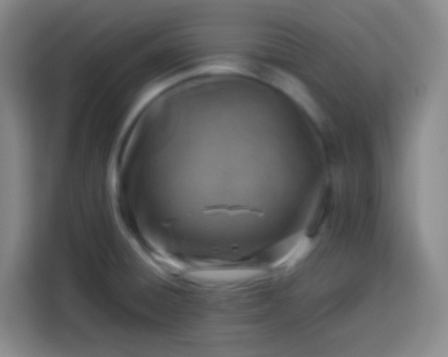 X0000113541428200910021340