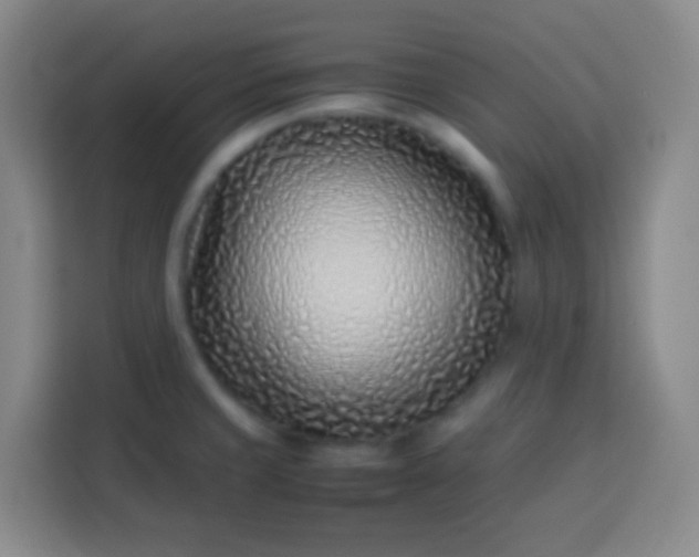 X0000113541429200910021340