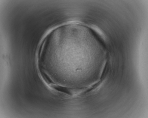 X0000113541430200910021340