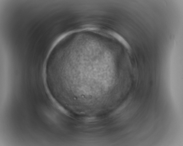 X0000113541431200910021340