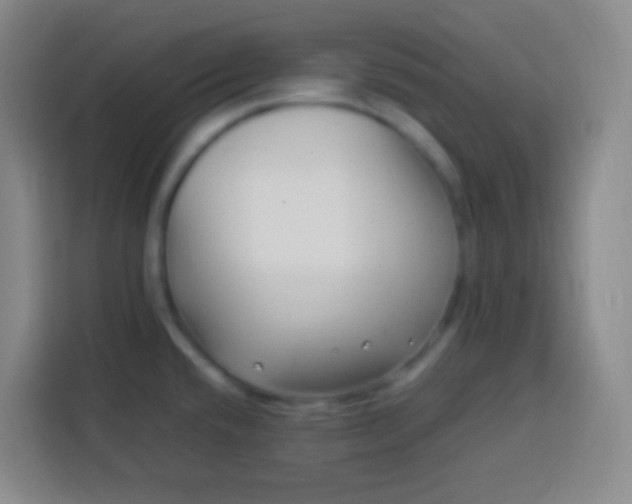 X0000113541432200910021340