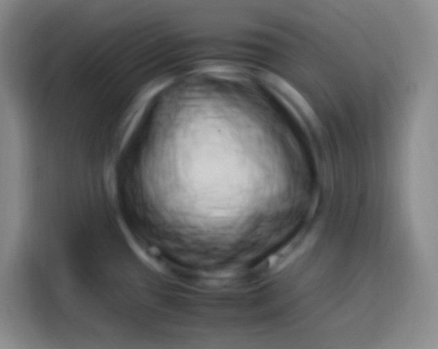 X0000113541433200910021340