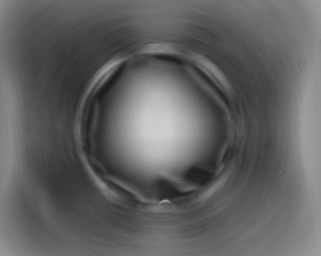 X0000113541434200910021340