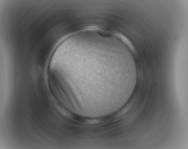 X0000113541435200910021340