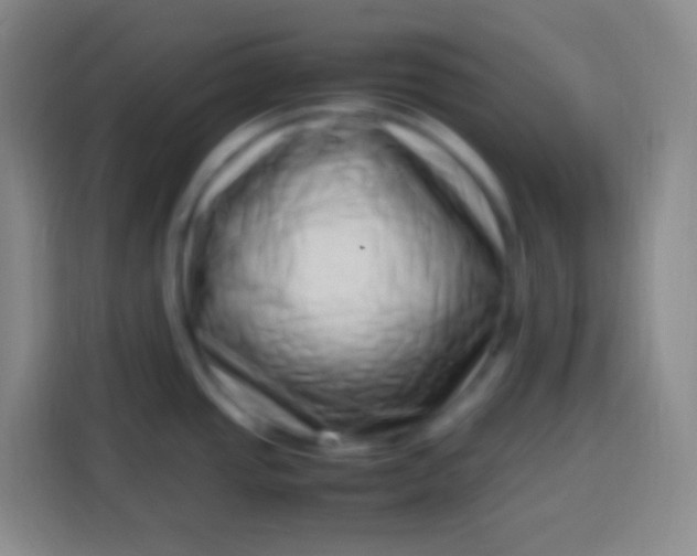 X0000113541437200910021341