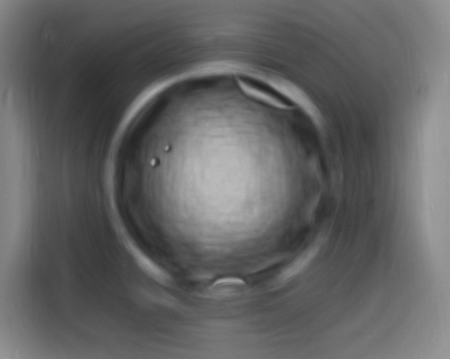 X0000113541438200910021341