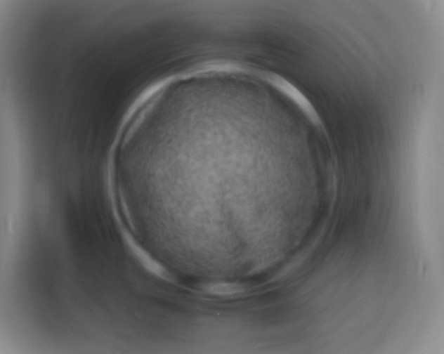 X0000113541439200910021341