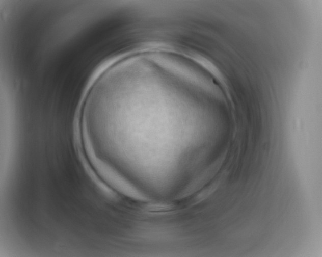 X0000113541440200910021341