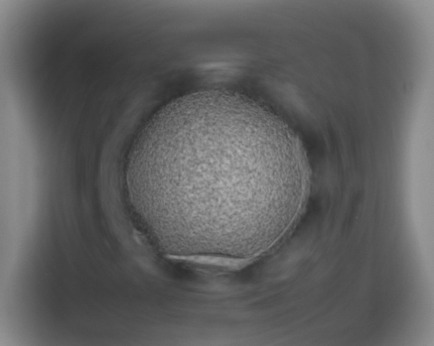 X0000113541441200910021340