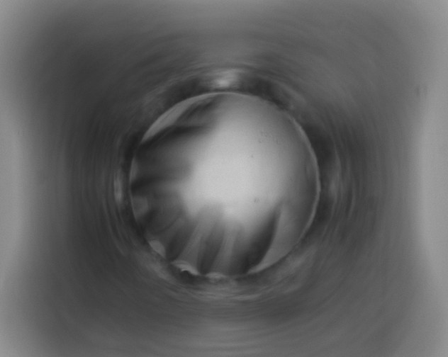 X0000113541442200910021340