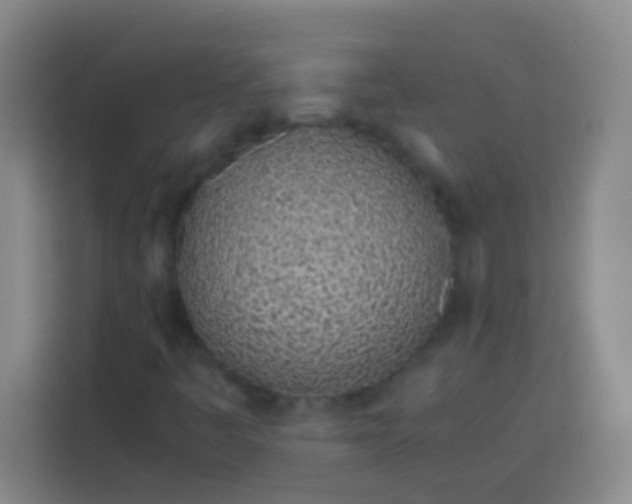 X0000113541445200910021340