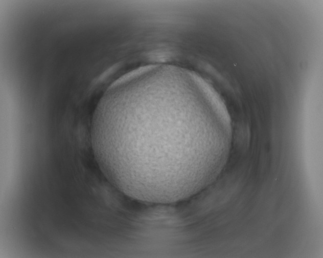 X0000113541446200910021340