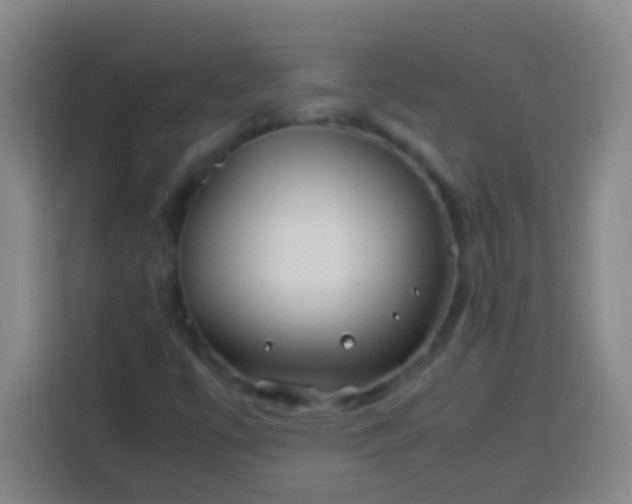 X0000113541447200910021340