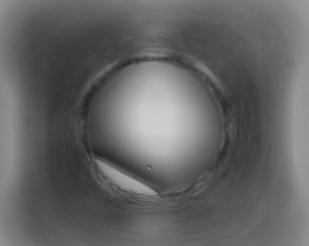 X0000113541448200910021340