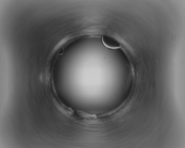 X0000113541450200910021340