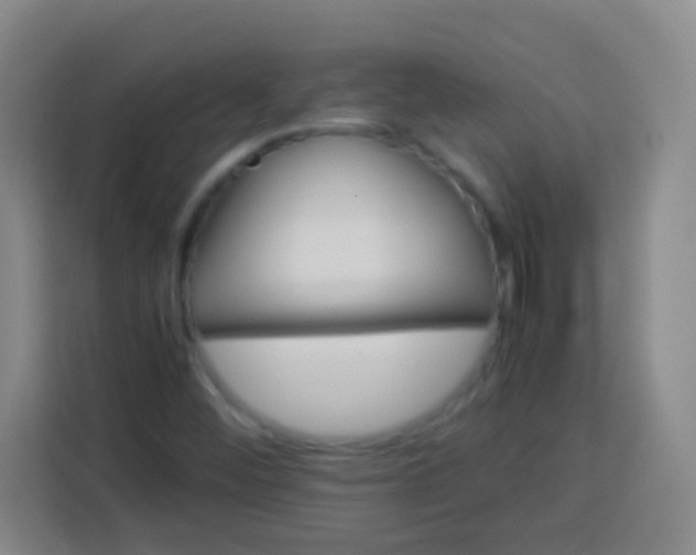 X0000113541452200910021340