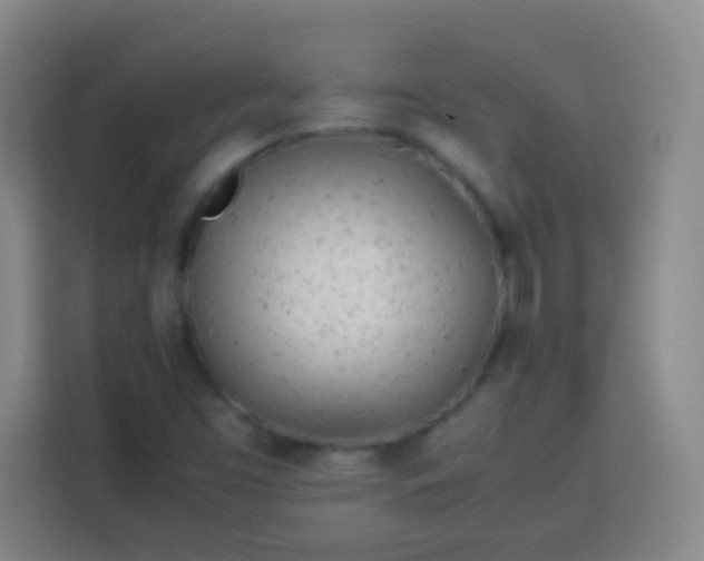 X0000113541453200910021340