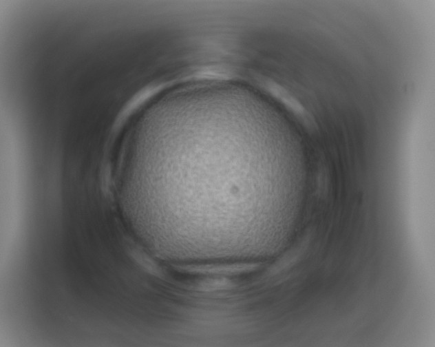 X0000113541454200910021340