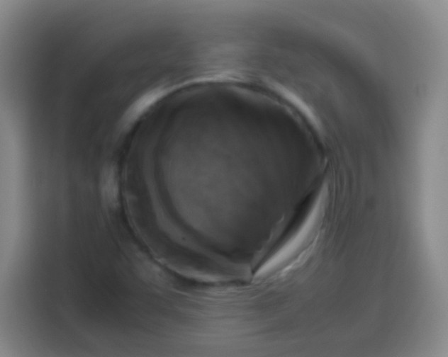 X0000113541455200910021340