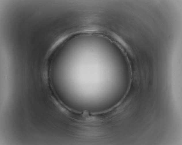 X0000113541456200910021340