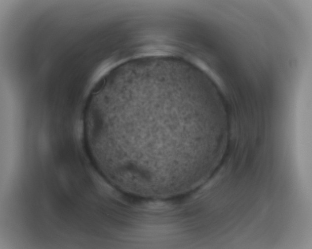 X0000113541459200910021340