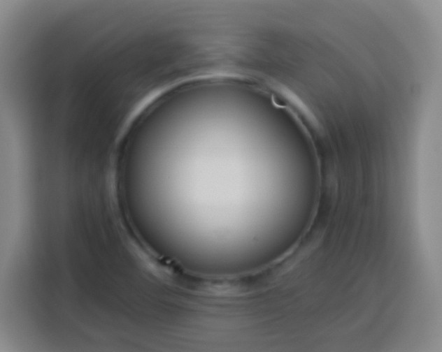 X0000113541460200910021340