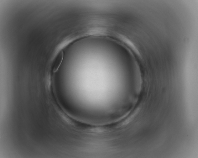 X0000113541461200910021340