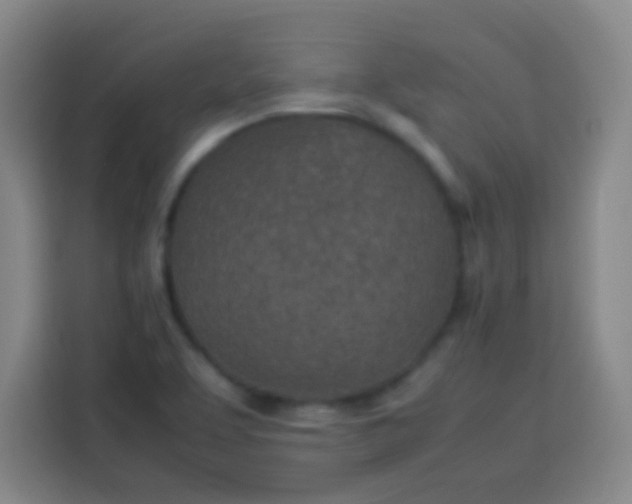 X0000113541463200910021340