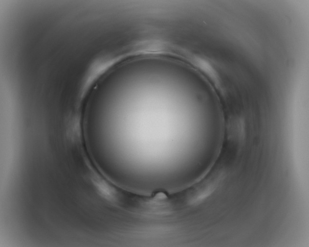 X0000113541464200910021340