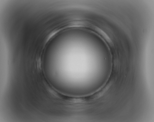 X0000113541465200910021340