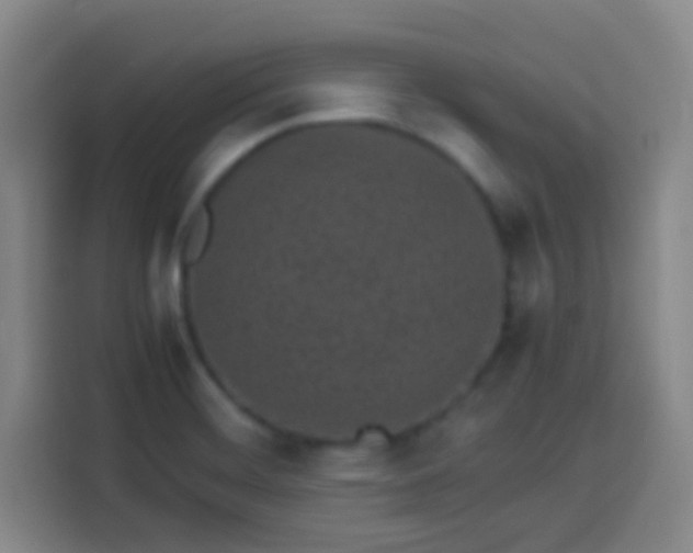 X0000113541468200910021340