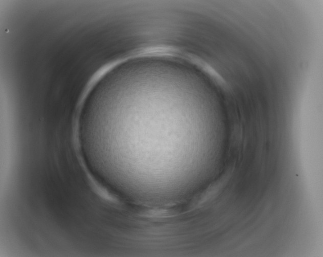 X0000113541470200910021340