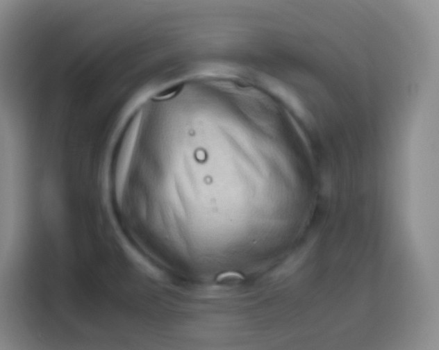 X0000113541471200910021340