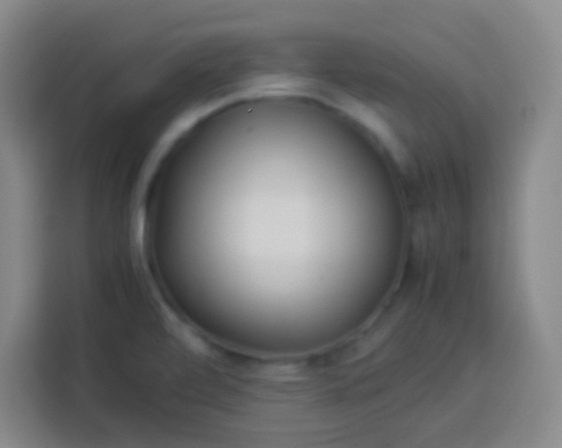 X0000113541472200910021340