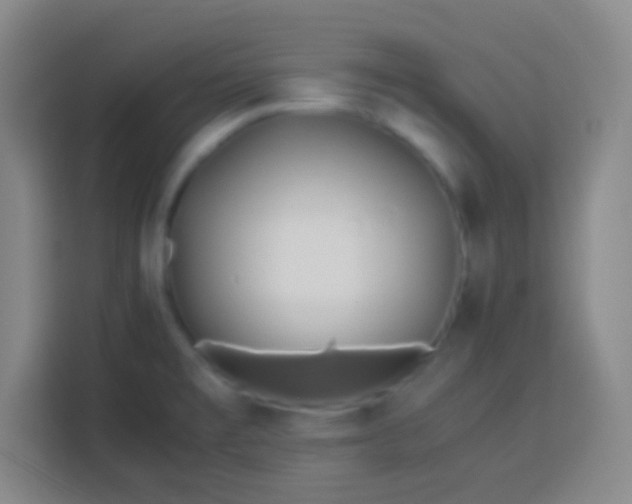 X0000113541477200910021339