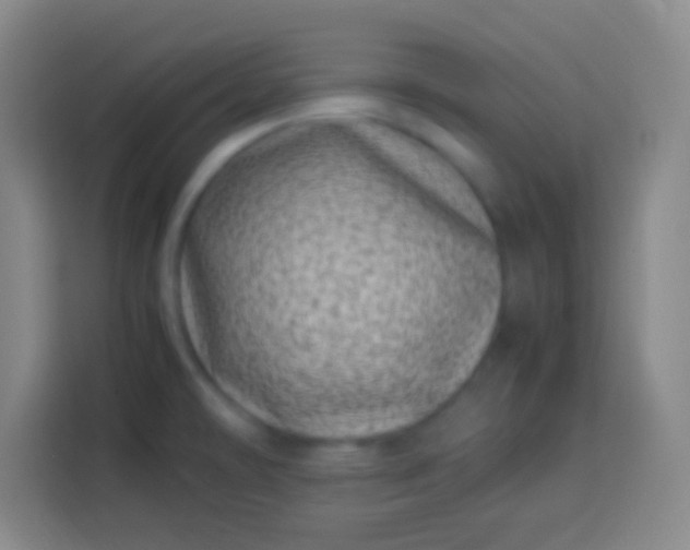 X0000113541478200910021339