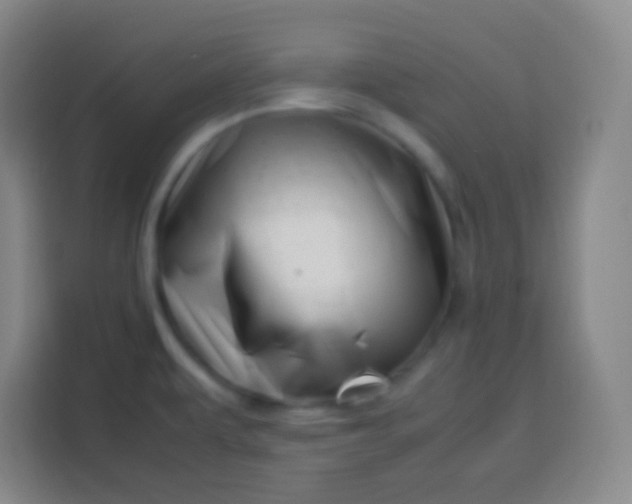 X0000113541479200910021339