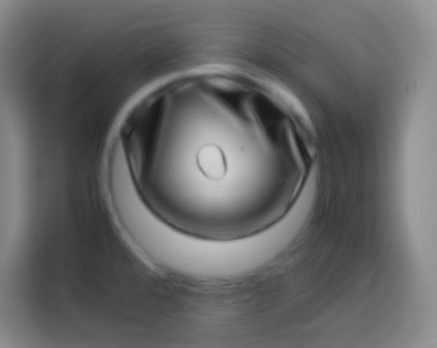 X0000113541480200910021339