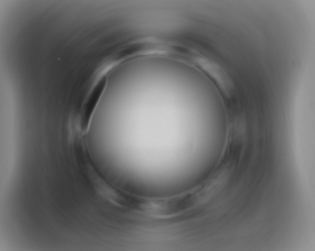 X0000113541481200910021339