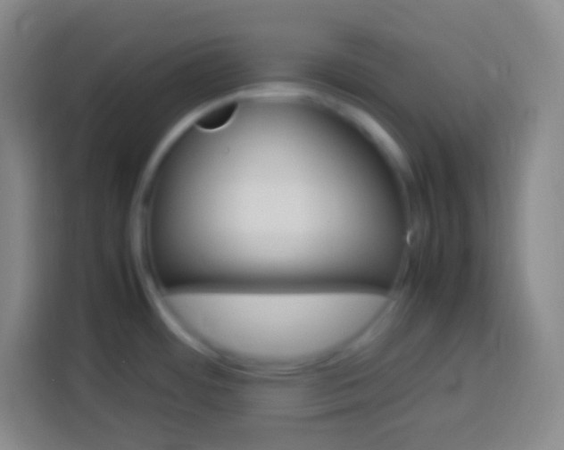 X0000113541484200910021339