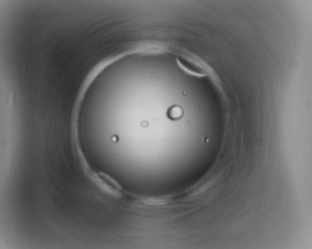 X0000113541488200910021339