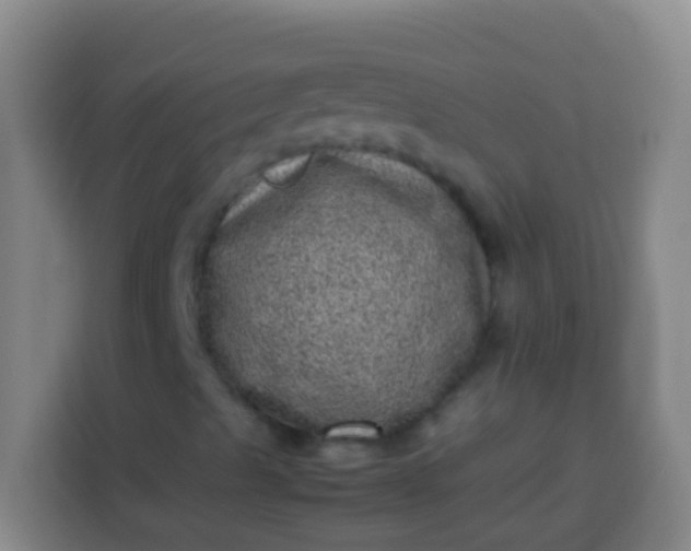 X0000113541489200910021339