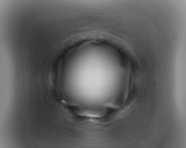 X0000113541490200910021339