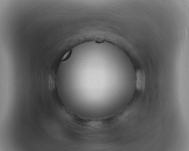 X0000113541491200910021339