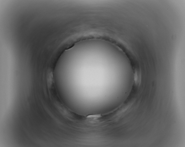 X0000113541492200910021339