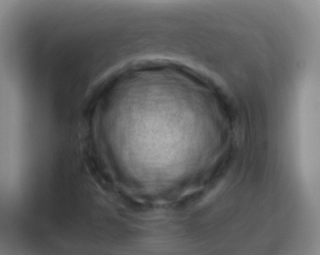 X0000113541494200910021339