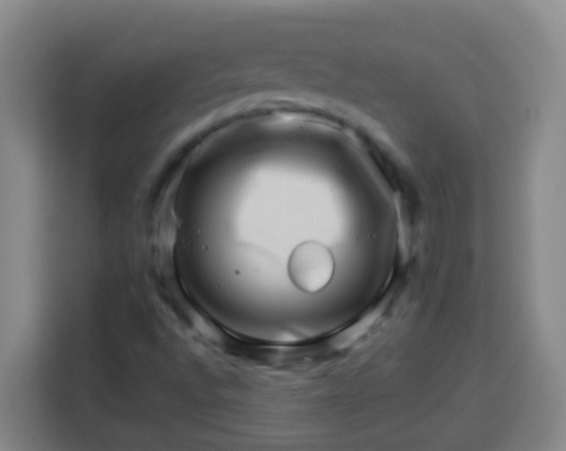 X0000113541496200910021339